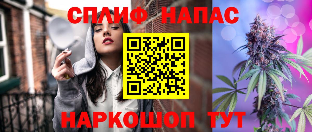 Каннабис конопля Канаш